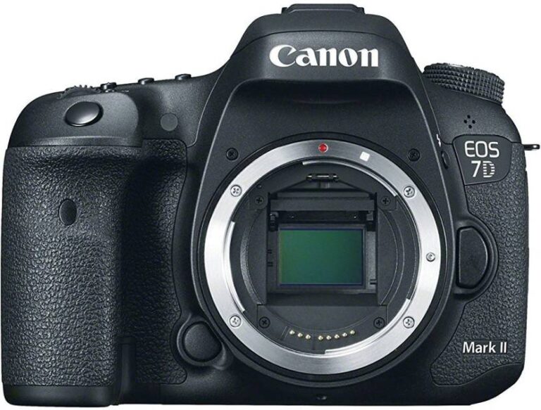 camera shutter count canon 70d online