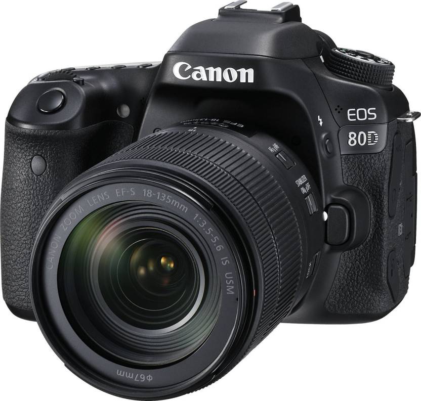 canon eos r shutter count online