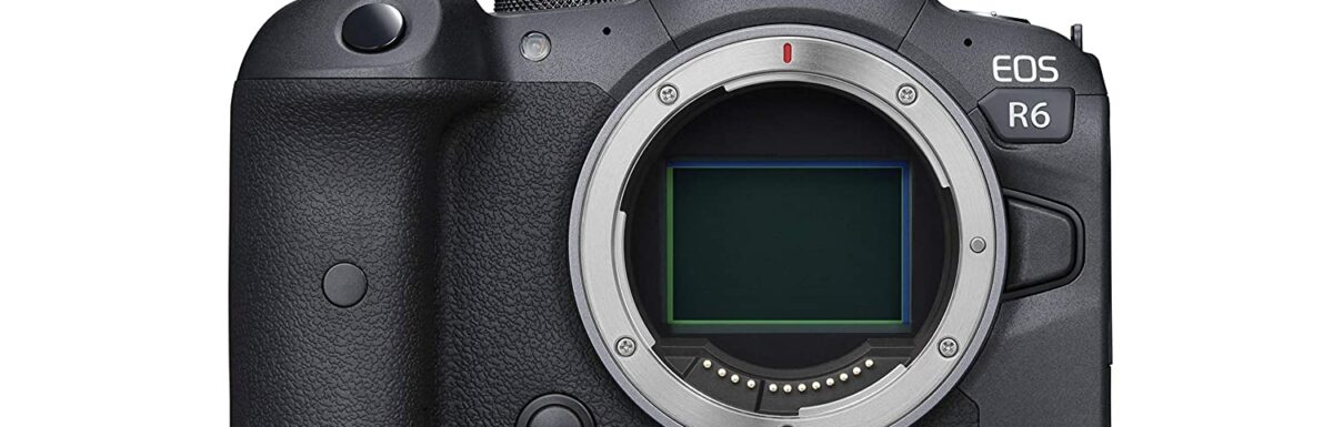 Canon EOS R6 Shutter Count