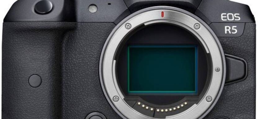 Canon EOS R5 Shutter Count